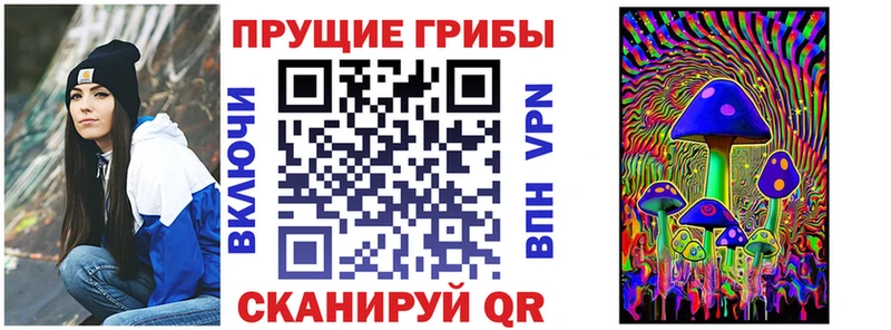 Галлюциногенные грибы Psilocybe  площадка какой сайт  Губкин  цена  